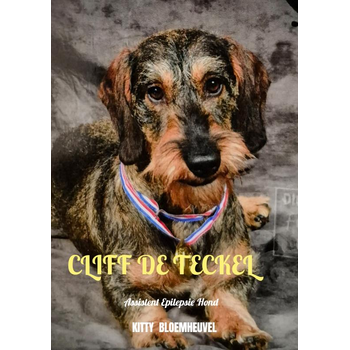 Cliff de Teckel, een hond van goud (Paperback) bij Singel 344