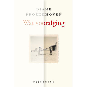Wat voorafging (Paperback) bij Singel 344