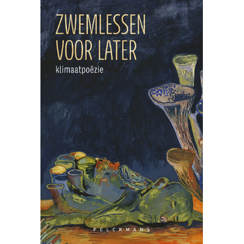 Zwemlessen voor later (Paperback) bij Singel 344