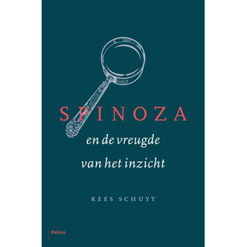 Spinoza en de vreugde van het inzicht (Hardback) bij Singel 344