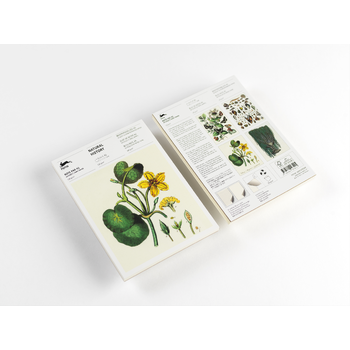 Natural History (Hardback) bij Singel 344