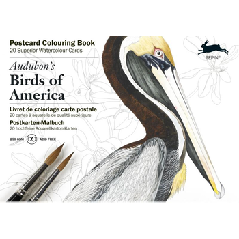 Audubon's birds of America (Undefined) bij Singel 344