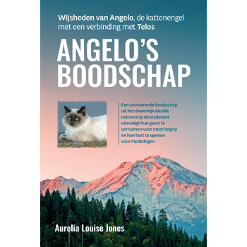 Angelo’s boodschap (Paperback) bij Singel 344