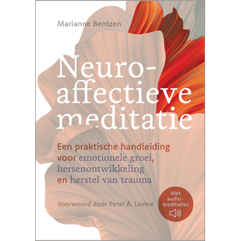Neuroaffectieve meditatie (Paperback) bij Singel 344