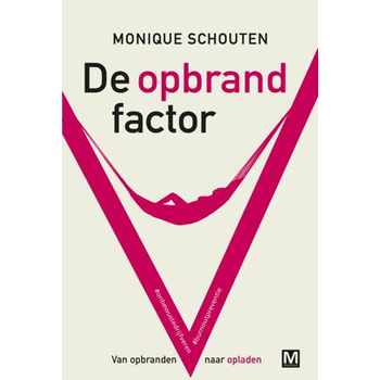 De opbrandfactor (Paperback) bij Singel 344