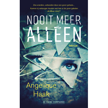 Nooit meer alleen (Paperback) bij Singel 344