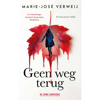 Geen weg terug (Paperback) bij Singel 344