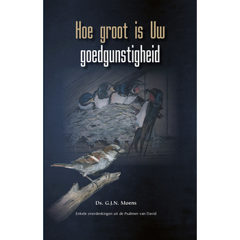 Hoe groot is Uw goedgunstigheid (Hardback) bij Singel 344