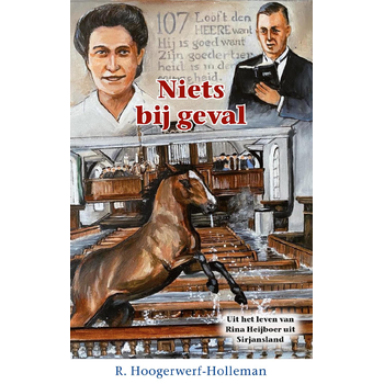 Niets bij geval (Hardback) bij Singel 344