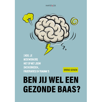 Ben jij wel een gezonde baas? (Paperback) bij Singel 344