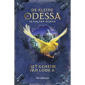 Het geheim van Lode A (Hardback) bij Singel 344