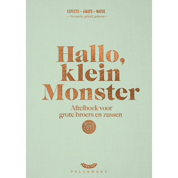 Hallo, klein monster (Hardback) bij Singel 344