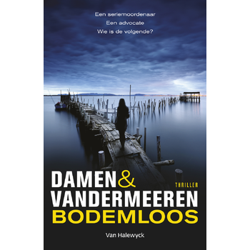 Bodemloos (Paperback) bij Singel 344