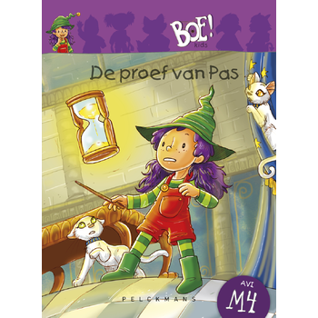 De proef van Pas (Hardback) bij Singel 344