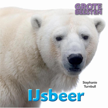 IJsbeer (Hardback) bij Singel 344