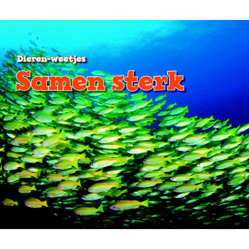 Samen sterk (Hardback) bij Singel 344