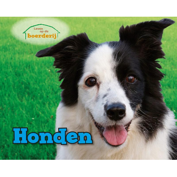 Honden (Hardback) bij Singel 344
