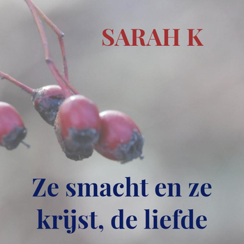 Ze smacht en ze krijst, de liefde (Paperback) bij Singel 344