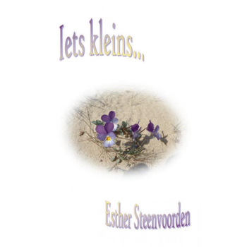 Iets kleins (Paperback) van Esther Steenvoorden