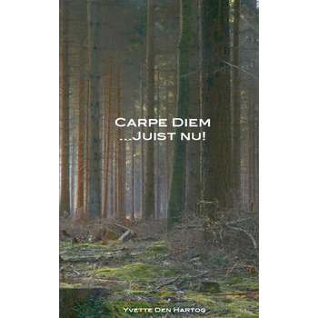 Carpe Diem juist nu! (Paperback) van Yvette Hartog