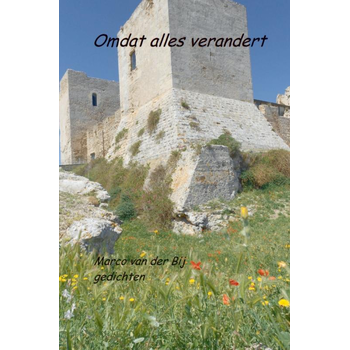 Omdat alles verandert! (Paperback) bij Singel 344