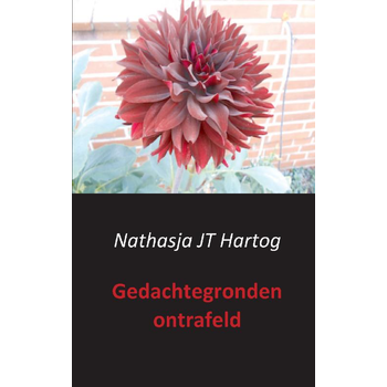 Gedachtegronden ontrafeld (Paperback) bij Singel 344