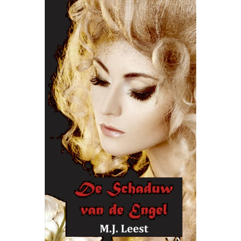 De schaduw van de engel (Paperback) bij Singel 344