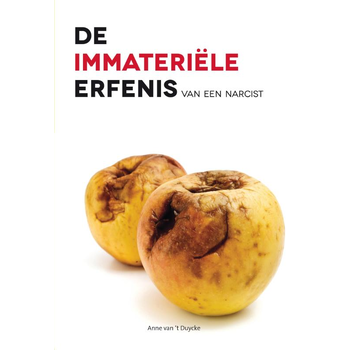 De immateriele erfenis van een narcist (Paperback) bij Singel 344