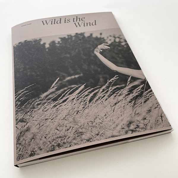 Wild is the wind (Paperback) bij Singel 344