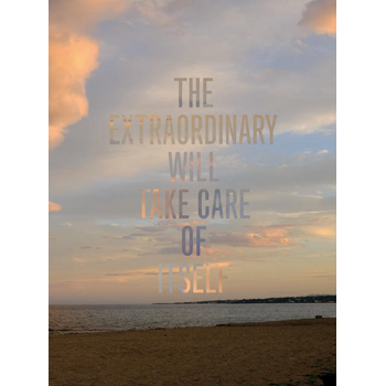 The extraordinary will take care of itself (Hardback) bij Singel 344