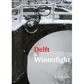 Delft in Winterlight (Hardback) bij Singel 344