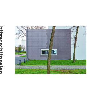 Bijverschijnselen (Hardback) bij Singel 344