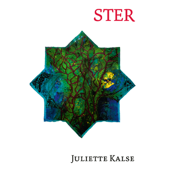 Ster (Paperback) bij Singel 344