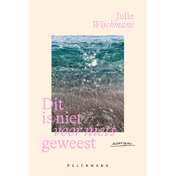Dit is niet voor niets geweest (Paperback) bij Singel 344