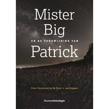 Mister Big en de verdwijning van Patrick (Paperback) bij Singel 344