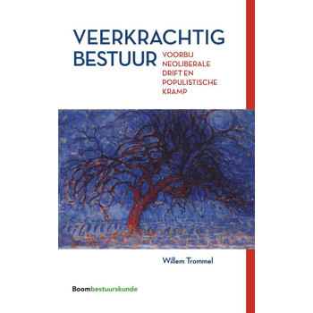 Veerkrachtig bestuur (Paperback) bij Singel 344