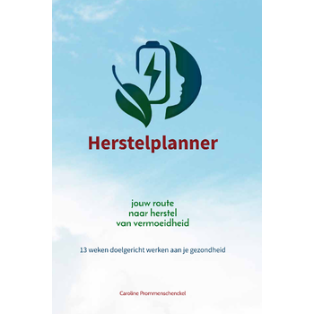 Herstelplanner (Hardback) bij Singel 344