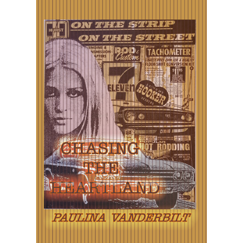 Chasing the Heartland (Paperback) bij Singel 344