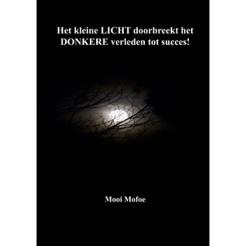 Het kleine LICHT doorbreekt het DONKERE verleden tot succes! (Paperback) bij Singel 344