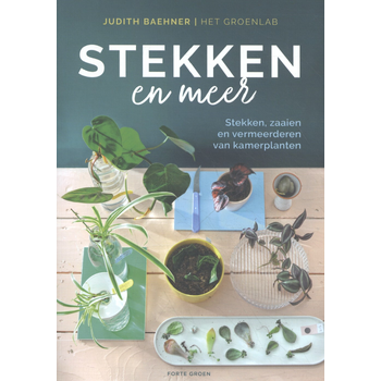 Stekken en meer (Paperback) bij Singel 344