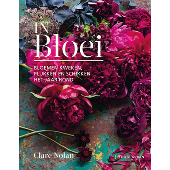 In Bloei! (Hardback) bij Singel 344