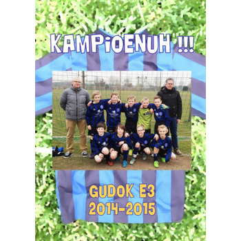 Gudok E3 2014-2015 Kampioenuh!!! (Paperback) bij Singel 344