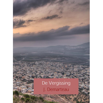 De Vergissing (Hardback) bij Singel 344