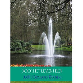 Door het leven heen (Hardback) bij Singel 344