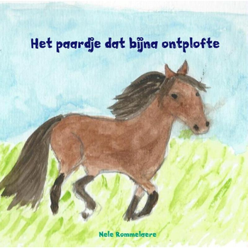 Het paardje dat bijna ontplofte (Hardback) bij Singel 344
