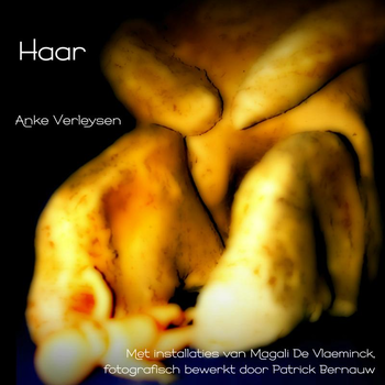 Haar (Paperback) bij Singel 344