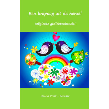 Een knipoog uit de hemel (Paperback) bij Singel 344