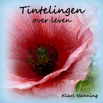 Tintelingen (Paperback) van Klari Nanning