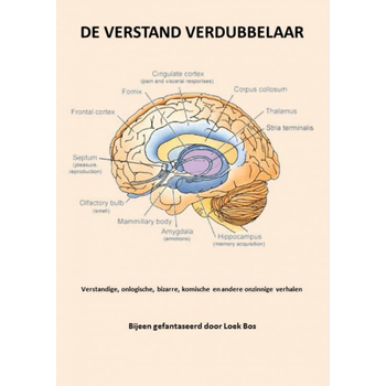 De verstand verdubbelaar (Paperback) van Loek Bos
