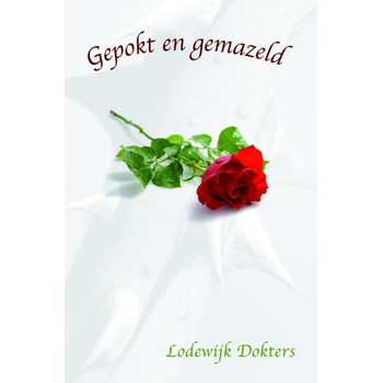 Gepokt en gemazeld (Paperback) bij Singel 344